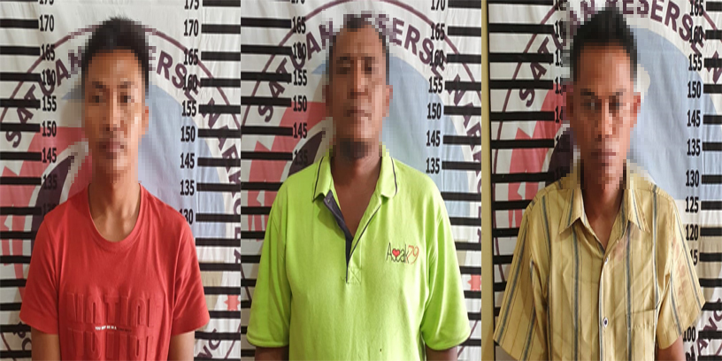 Tiga pengedar narkoba jenis sabu berinisial PP (31), EC (46) dan YS (22, yang dibekuk Polisi saat menggerbek lapo tuak